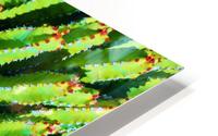 Cactus HD Metal print