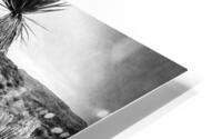 Desert Burro HD Metal print