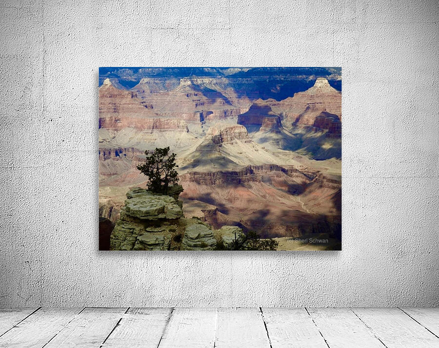 Grand Canyon Wall Preview
