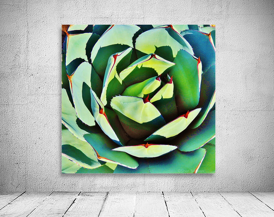 Succulent Wall Preview