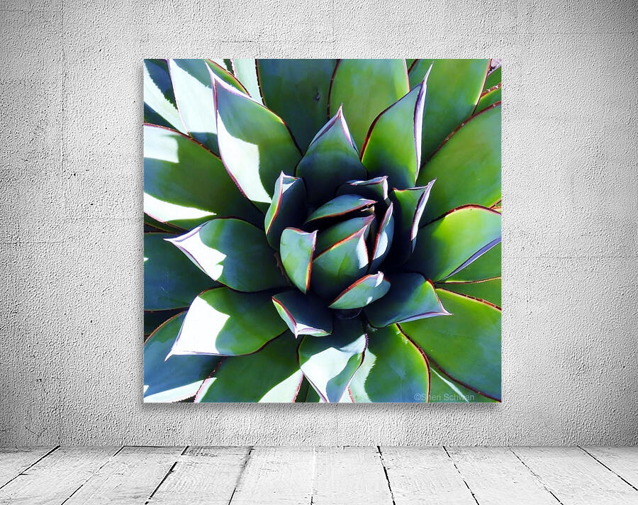 Agave II Wall Preview