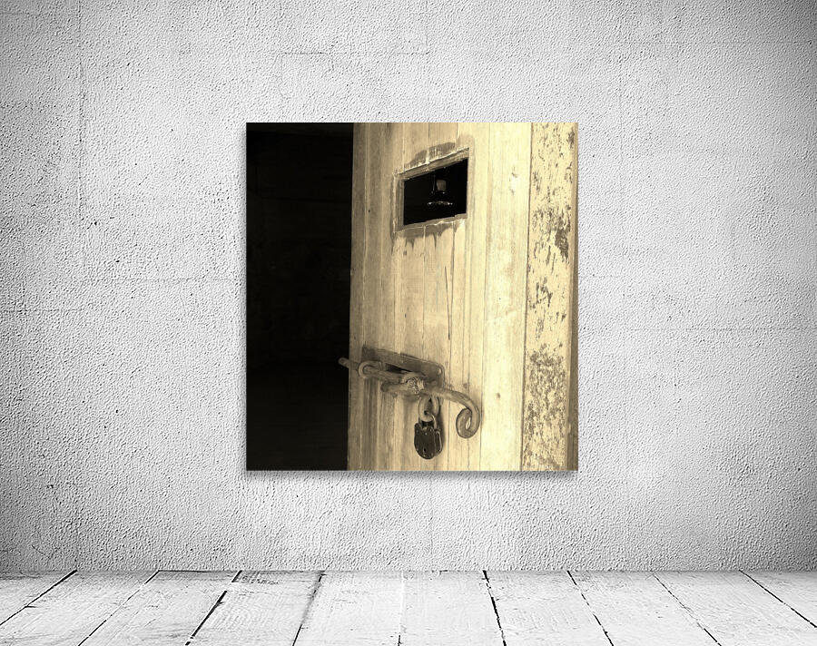 Jailhouse Door Wall Preview