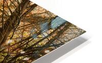 Sunlight HD Metal print