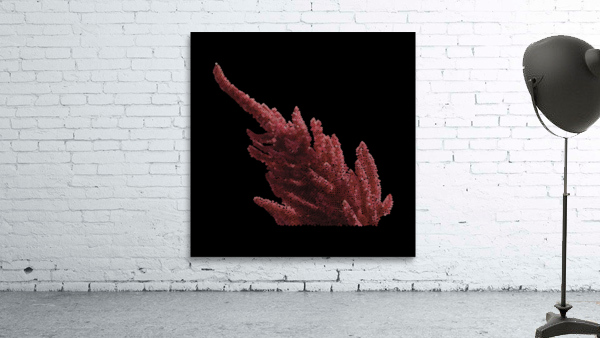Aramanth Wall Preview