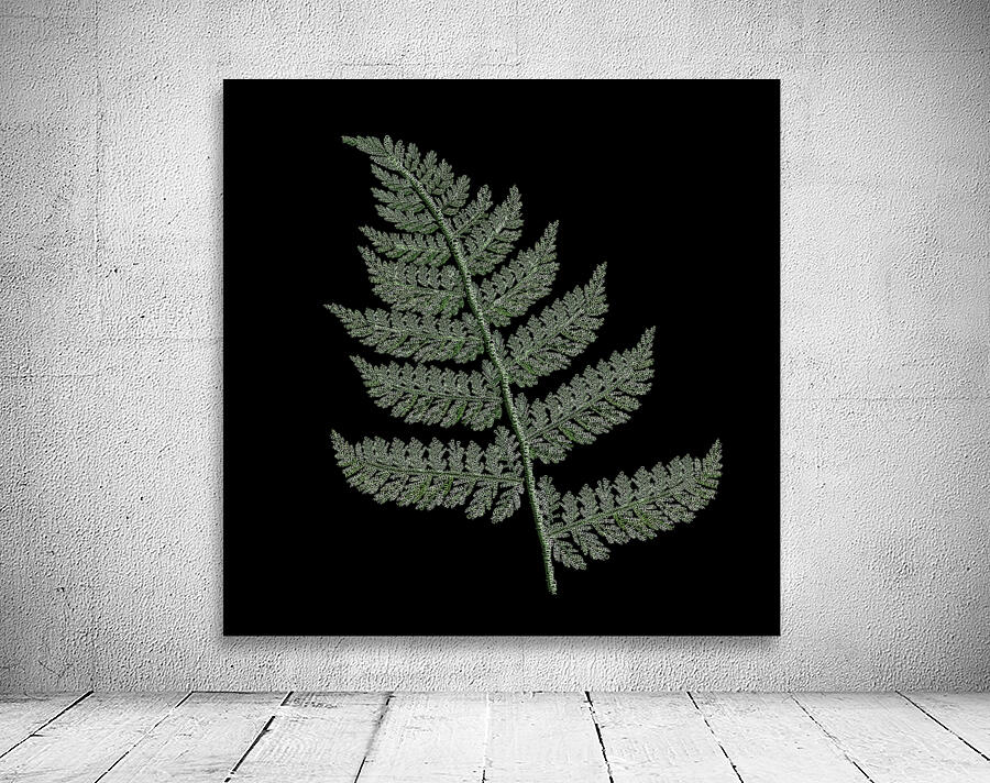 Fern Wall Preview