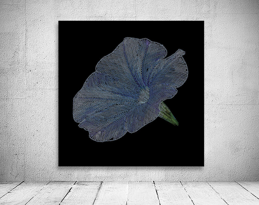 Petunia Wall Preview