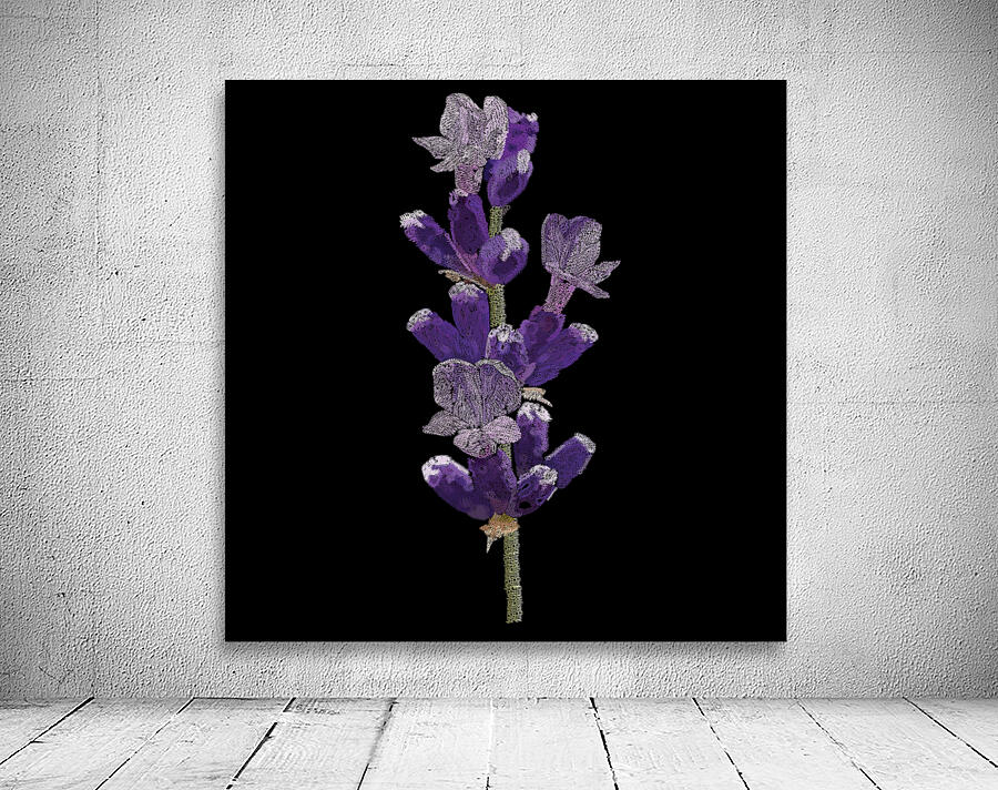 Lavender Square Wall Preview