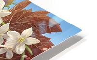  Natures Sweet Harmony HD Metal print