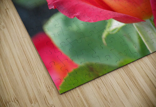 flower DeRoe puzzle