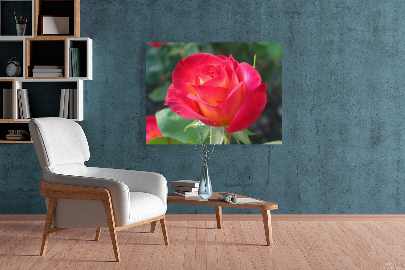 flower Reproduction