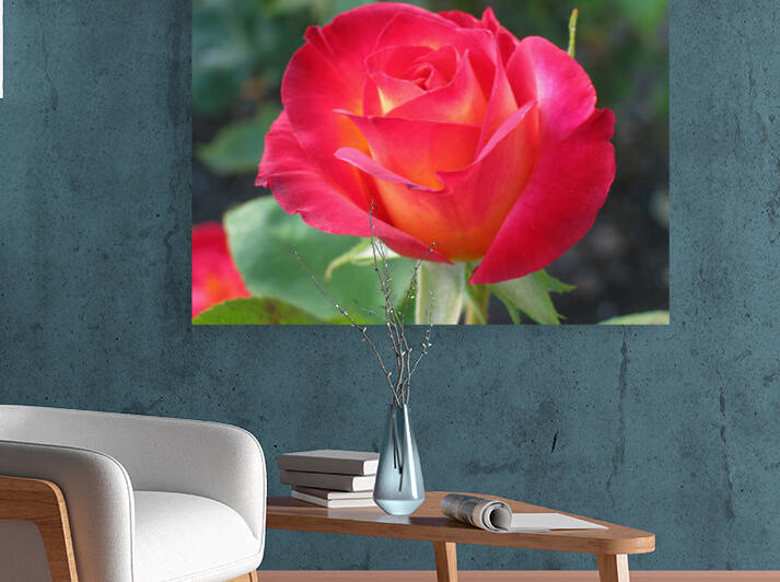 flower Reproduction