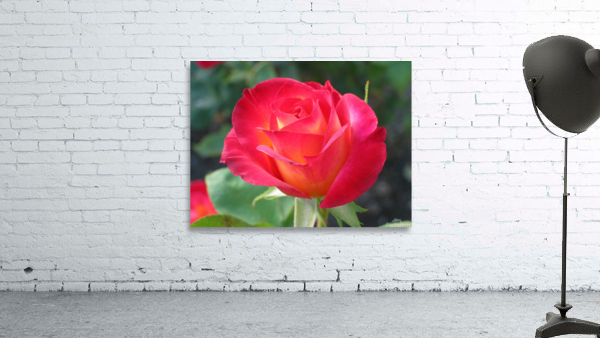 flower Wall Preview