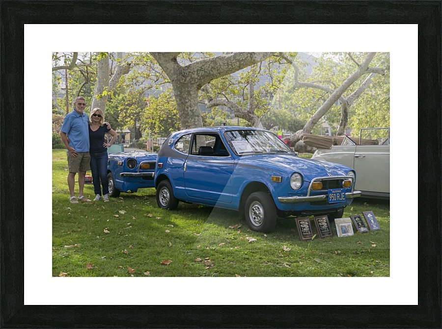 IMG_1453 Picture Frame print