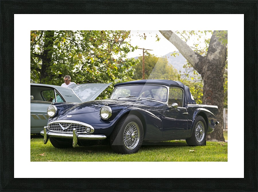 IMG_1434 Picture Frame print