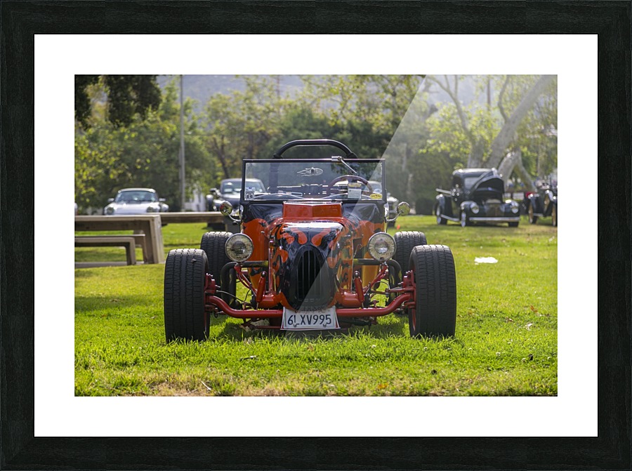 IMG_1448 Picture Frame print