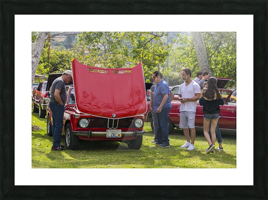 IMG_1524 Picture Frame print