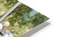 IMG_1633 HD Metal print