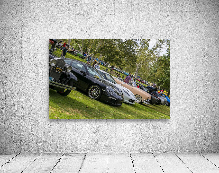 IMG_1450 Wall Preview