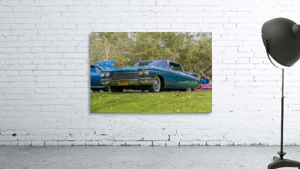 IMG_1466 Wall Preview
