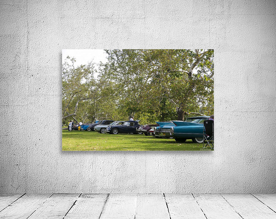 IMG_1435 Wall Preview