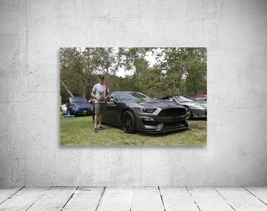 IMG_1647 Wall Preview