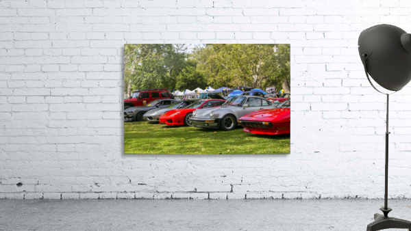 IMG_1561 Wall Preview