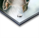 Tree Squirrel Red and Gray Acrylic print