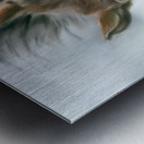 Tree Squirrel Red and Gray Metal print