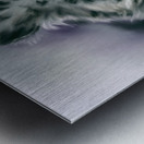 Snow Leopard Portrait Metal print