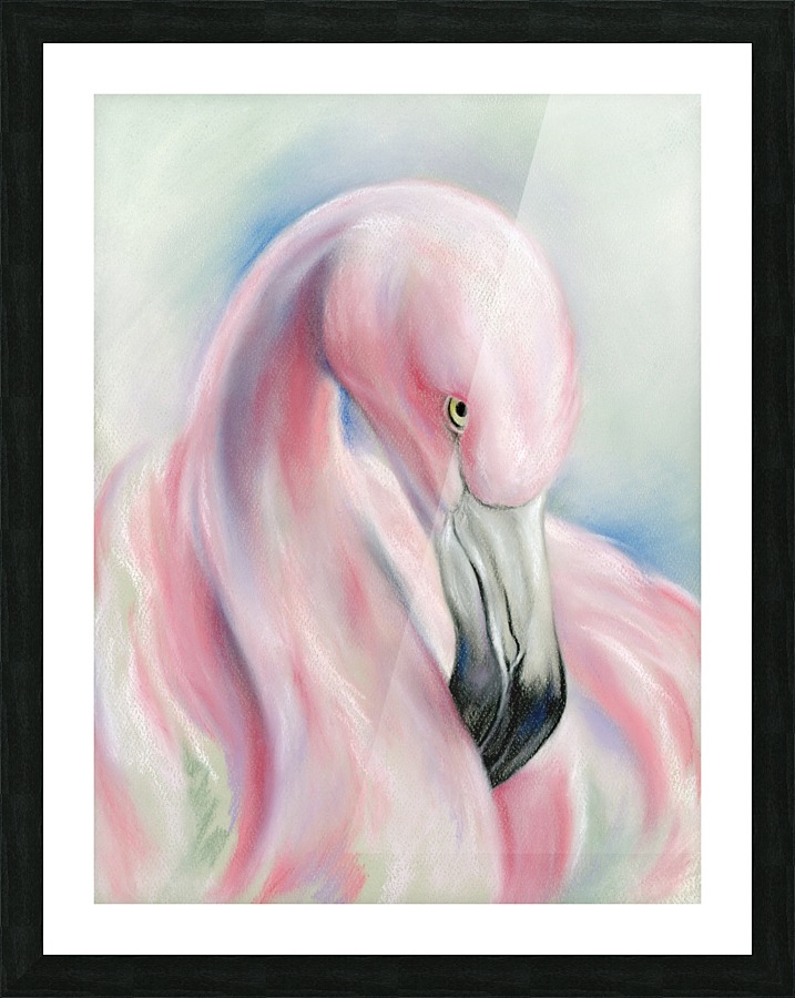 Coy Flamingo Picture Frame print