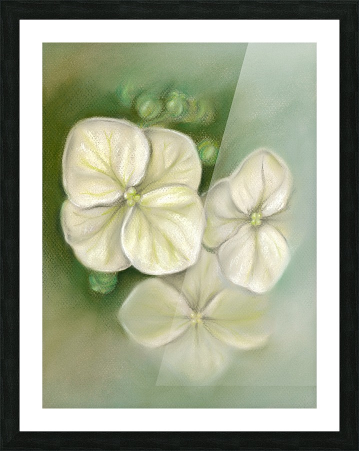 Soft Summer Hydrangea Blossoms Picture Frame print