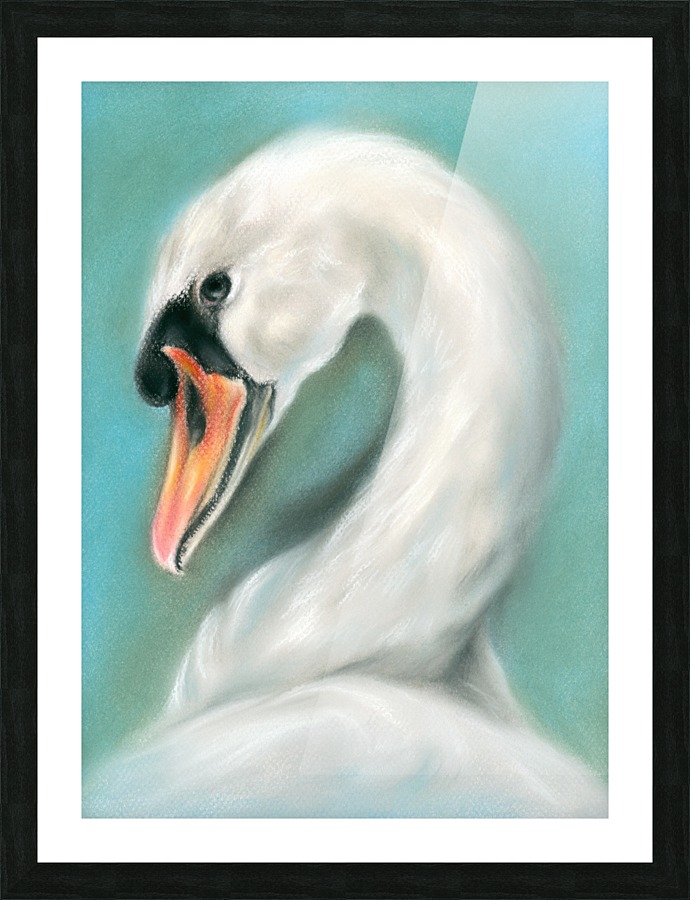 White Swan Portrait Picture Frame print