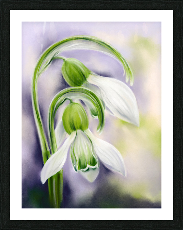 Spring Snowdrops on Purple Picture Frame print