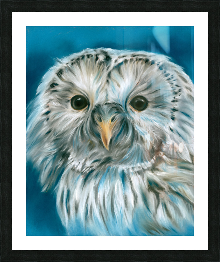 Ural Owl on Blue Picture Frame print