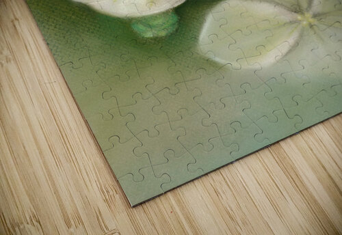 Soft Summer Hydrangea Blossoms MM Anderson puzzle