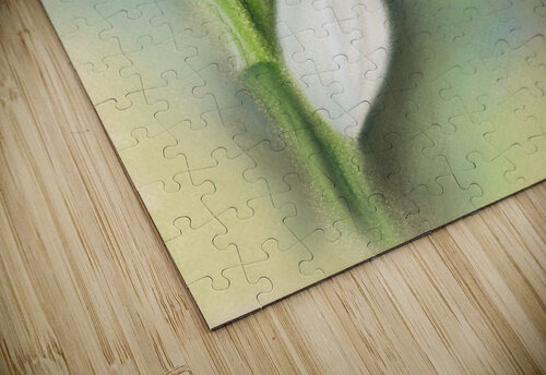 Snowdrop Single White Flower MM Anderson puzzle