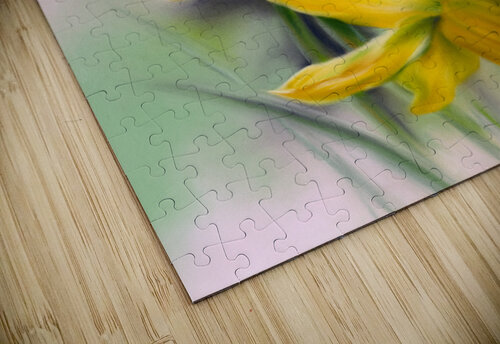 Two Yellow Daffodils MM Anderson puzzle