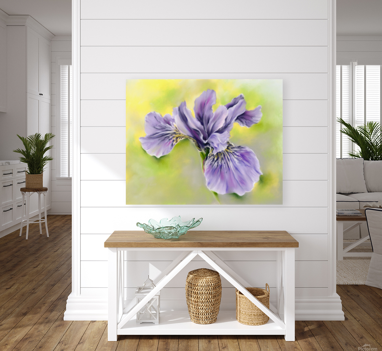 Single Siberian Iris Periwinkle Blue-Violet Reproduction