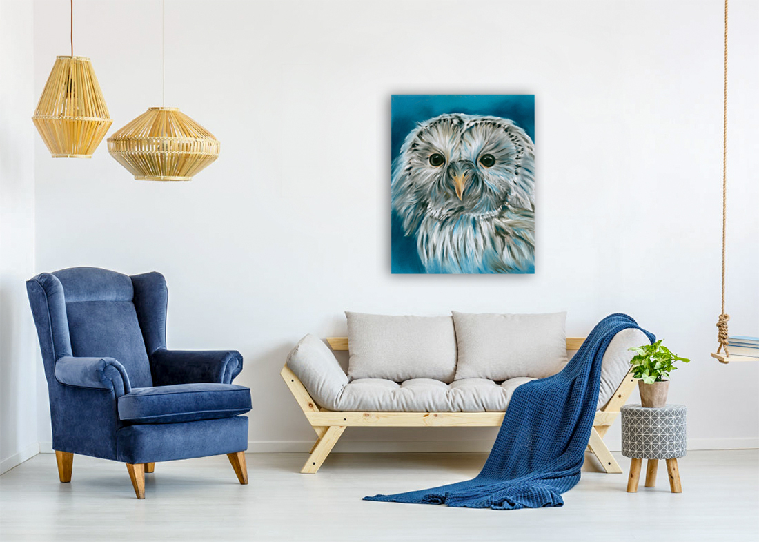 Ural Owl on Blue Reproduction