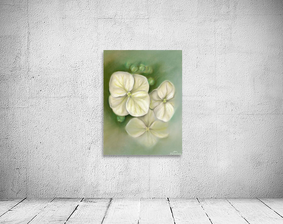 Soft Summer Hydrangea Blossoms Wall Preview