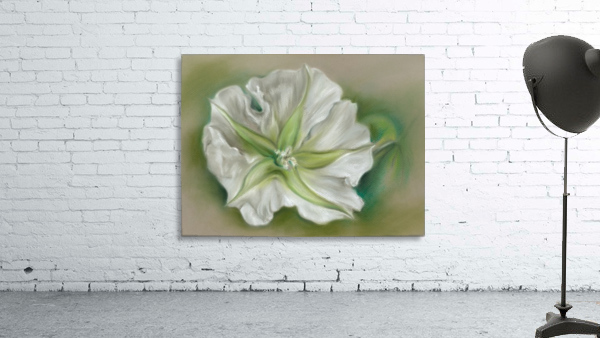 White Evening Moonflower Wall Preview
