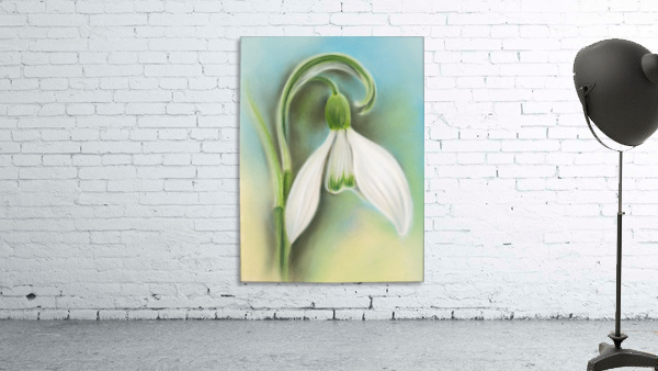 Snowdrop Single White Flower Wall Preview