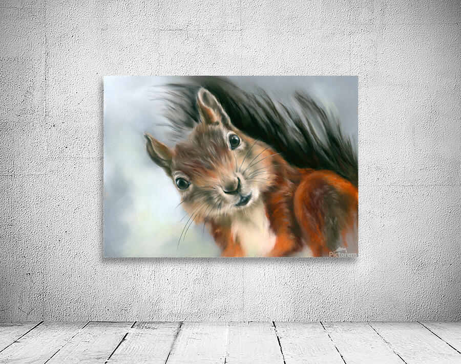 Tree Squirrel Red and Gray Wall Preview