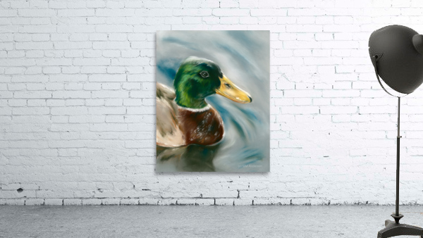 Mallard Duck on the Water Wall Preview