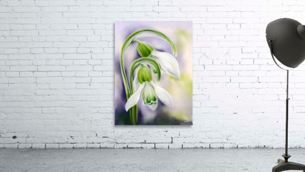 Spring Snowdrops on Purple Wall Preview