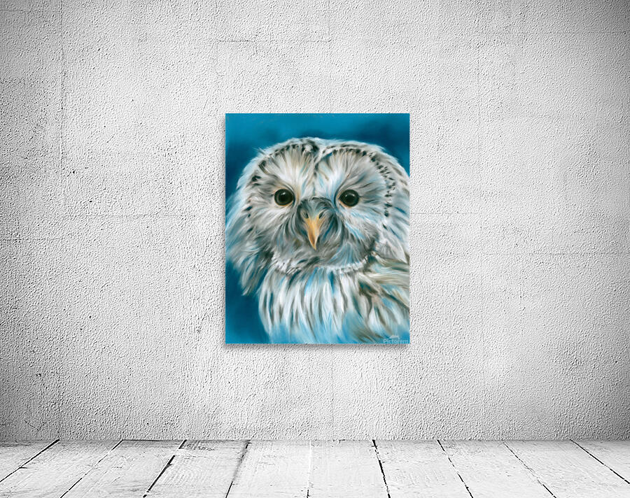 Ural Owl on Blue Wall Preview