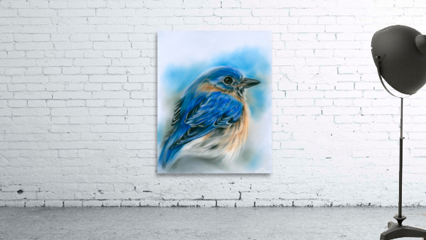 Bluebird in Winter Wall Preview
