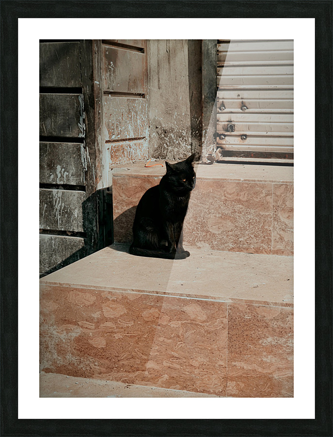 Black cat Picture Frame print