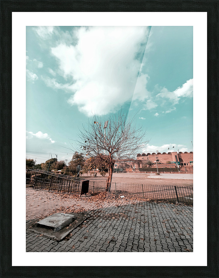 Some wheres tree Picture Frame print