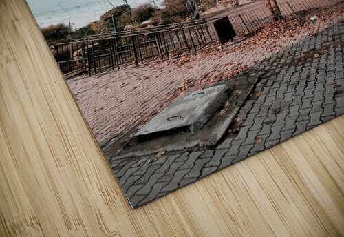 Some wheres tree Moeez Ahmad puzzle